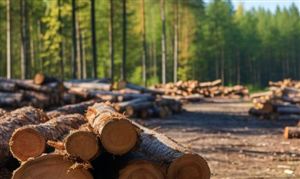 2024年中国精细化工行业发展现状分析及发展前景趋势预测(图8)