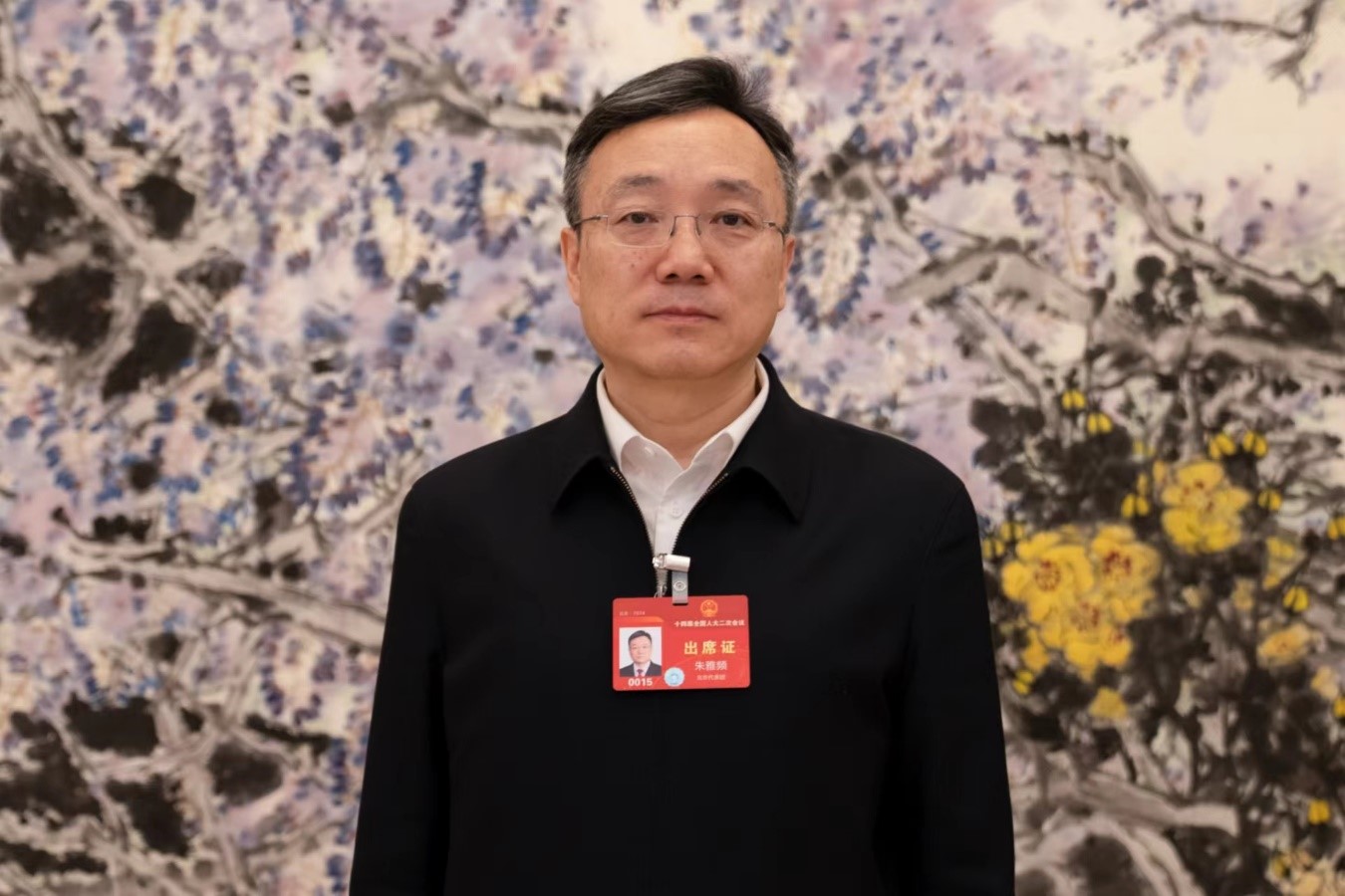 朱雅频代表:以检察工作现代化服务首都现代化建设(图1) 朱雅频代表:以检察工作现代化服务首都现代化建设(图1)