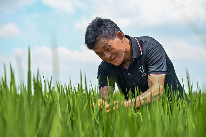 打开城乡融合发展新空间——当前抓改革促发展观察之七(图2)