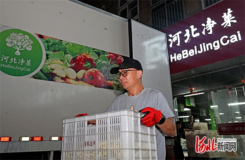 牢记嘱托 感恩奋进 奋力谱写中国式现代化建设河北篇章丨“河北净菜”进京记(图3) 牢记嘱托 感恩奋进 奋力谱写中国式现代化建设河北篇章丨“河北净菜”进京记(图3)