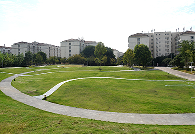 华中农业大学(图13)