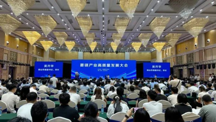 当好引领全国菱镁行业实现高质量发展“排头兵”“主力军”——2024年度菱镁产业高质量发展大会隆重开幕(图6)