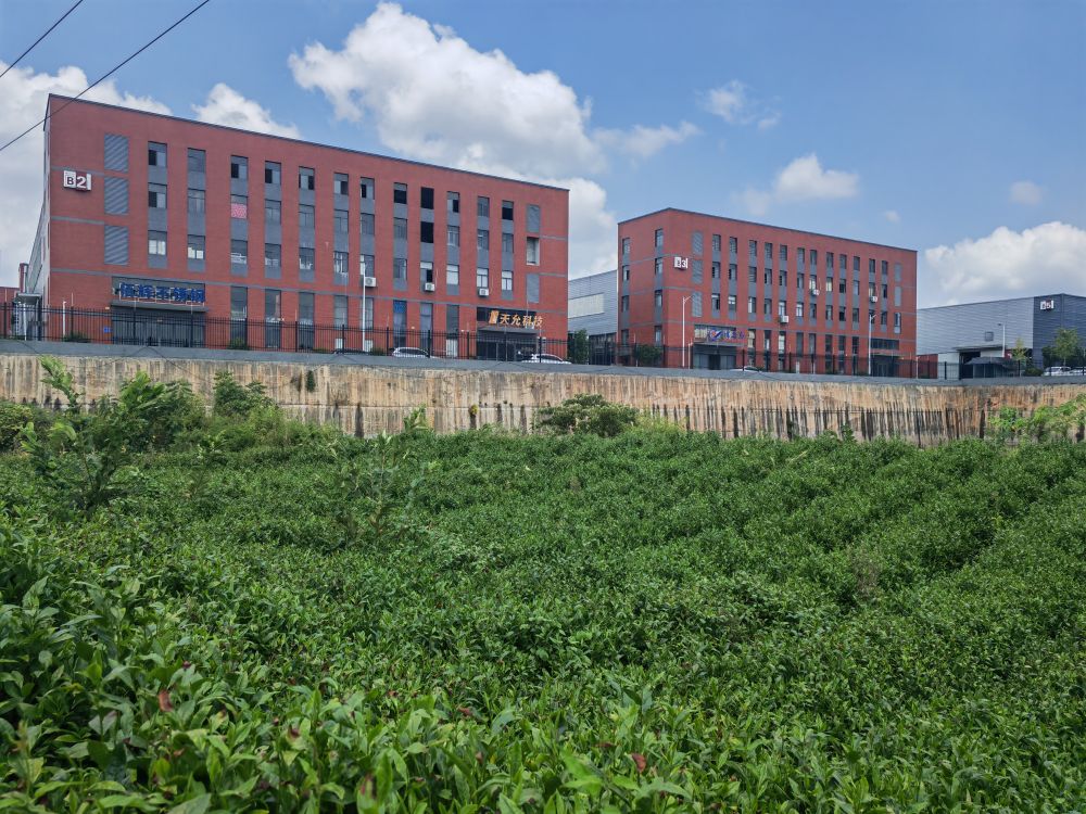 锚定现代化 改革再深化湖南浏阳：农村集体经营性建设用地入市试点唤醒沉睡资产(图2)